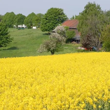 Lejlighed Close To Nature,airport, Fair *