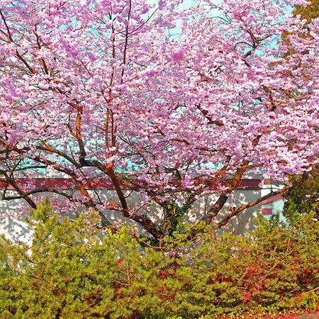 Close To Nature,airport, Fair Lejlighed