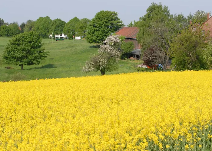 Lejlighed Close To Nature,airport, Fair *
