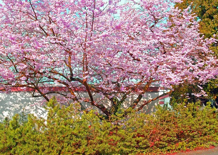 Close To Nature,airport, Fair Lejlighed