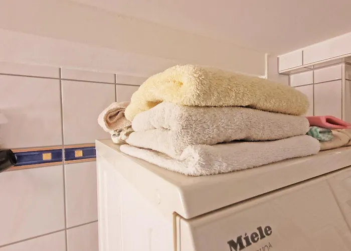 Close To Nature,airport, Fair